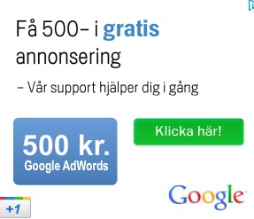Googles Adwords kampanj